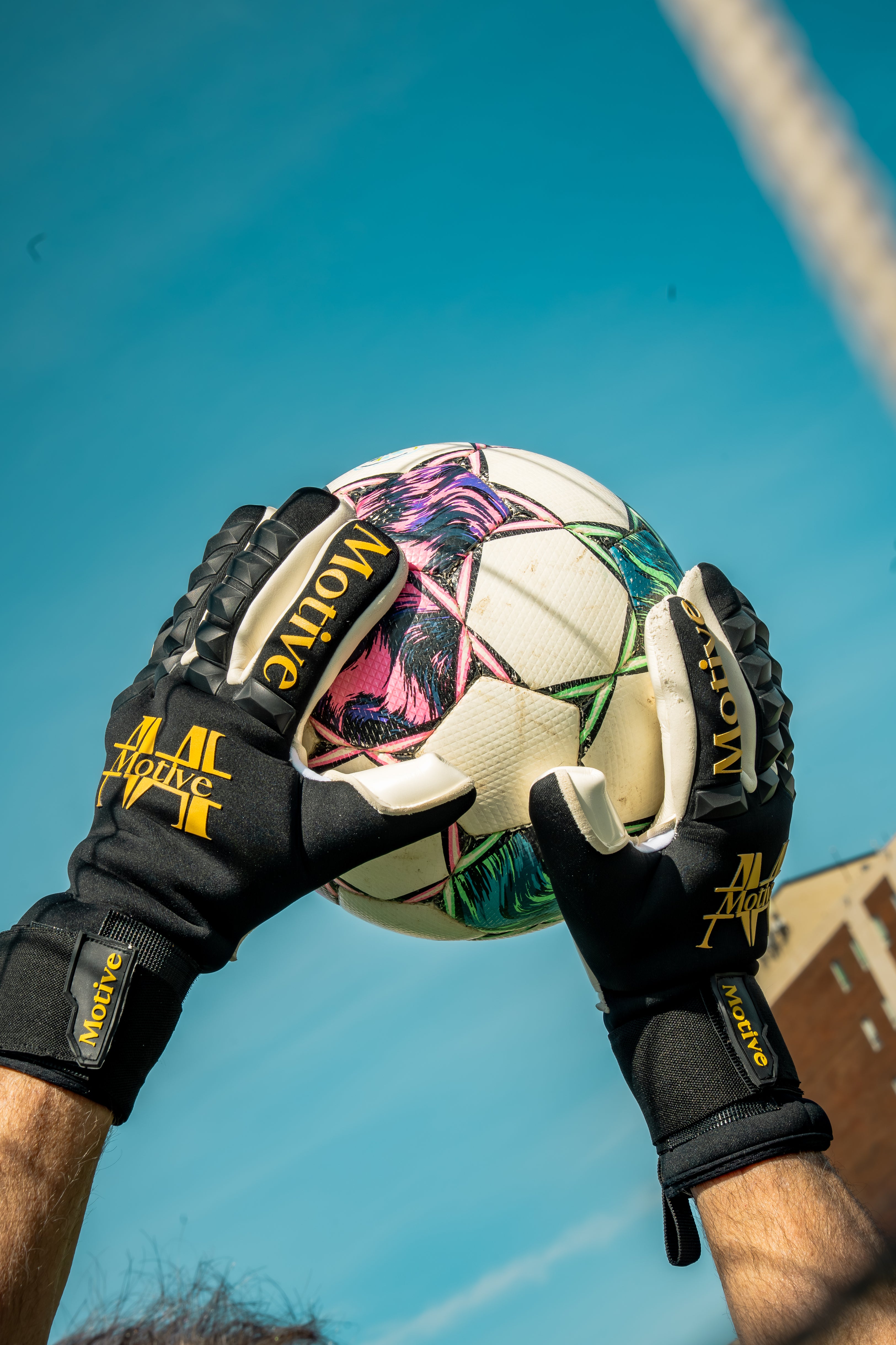 Black & Gold Motive Gloves